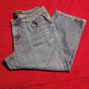 Lane Bryant Ankle Length Jeans